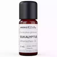 Eukalyptus Globulus Ätherisches Öl Von Wesentlich