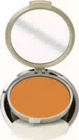 Eva Garden Foundation Compact Bronzer Effect 528