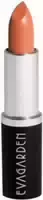 Eva Garden Lipstick Velvet 412