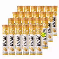 Zink Brausetabletten 10mg Immunsystem Haut 24er Pack 480 st
