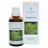 Evolution Zinnkraut Tinktur