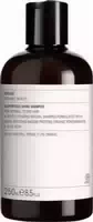 Evolve Organic Beauty Superfood Shine Shampoo