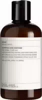 Evolve Organic Beauty Superfood Shine Conditioner