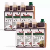 Ewalia Bewegungssaft für Pferde Sechserpack