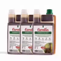 Ewalia Darmvitalsaft für Pferde Dreierpack