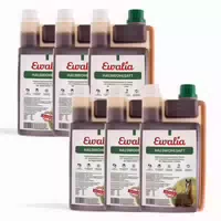 Ewalia Halswohlsaft für Pferde Sechserpack