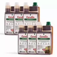 Ewalia Nervensaft I für Pferde Sechserpack