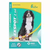 Exspot 2 Ml Spot On Lösung Für Hunde
