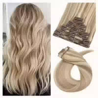 Clip in Extensions Echthaar Remy 30 cm 33g Hellbraun #6 1 st