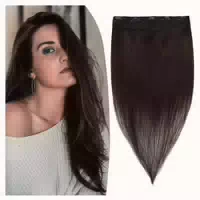 Extensions Clip in Echthaar Remy Blond 5 Clips 30 cm 40 g We 1 st