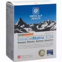 Extra Cell Matrix Ecm Knorpel Orange