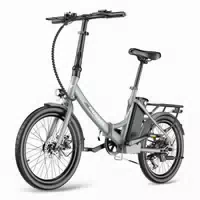 Fafrees F20 Light Elektro Citybike, 20 Reifen, 250 W Motor, 36 V 16,75 Ah Akku