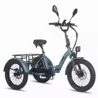 Fafrees F20 Mate E Bike Dreirad mit 48v 21ah Akku