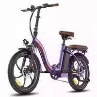 Fafrees F20 Pro Falt E Bike, 250 W Motor, 36 V 25 Ah Akku, 20 X 3,0 Zoll Reifen