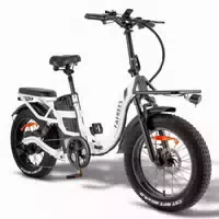 Fafrees F20 X Max Elektrofahrrad mit 48v 30ah Akku