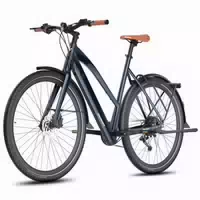 Fafrees F700w Elektrofahrrad mit 36v 10ah Akku, 9 Gang