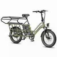 Fafrees Ff20 Cuv Elektrofahrrad, 2 X 12 Ah Akkus, 250 W