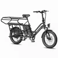 Fafrees Ff20 Cuv Modulares Longtail E Bike – Dual Akku 30 Ah
