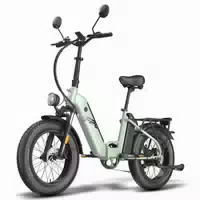 Fafrees Ff20 Polar Elektro Citybike mit Zwei 48v 24ah Akkus