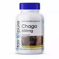 Fair Pure | Chaga 650mg