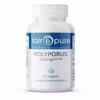 Fair Pure | Polyporus 1300mg