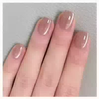 Fake Nails Kurz Square Nudefarben Cat Eye Magnetic Ca B13 1 st