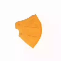 Small Size Ffp2 I Orange I Kids