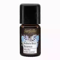 Farfalla Arabische Minze Nanaminze Bio