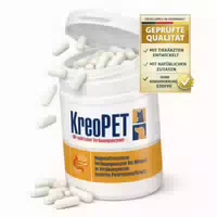Kreopet Pankreatin Enzyme Pankreasenzyme Pankreasinsuffizienz Gigi Vet