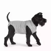 Fashion Dog Cura Pets Op und Wundschutz Body für Hunde und Katzen