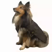 Fashion Dog Hunde Regenmantel mit Fleecefutter Braun 27 cm