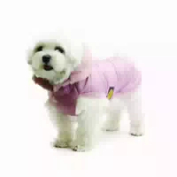 Fashion Dog Hunde Steppmantel für Malteser Rosa 39 cm