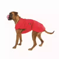 Fashion Dog Hundemantel Speziell für Boxer Rot 60 cm