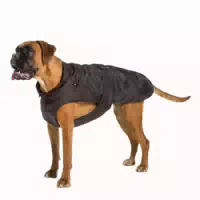 Fashion Dog Hundemantel Speziell für Boxer Schwarz 60 cm