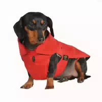 Fashion Dog Hundemantel Speziell für Dackel Rot 39 cm