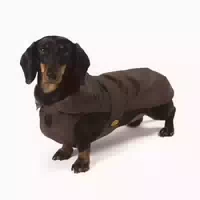 Fashion Dog Hundemantel Speziell Für Boxer Braun 60 Cm