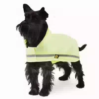 Fashion Dog Reflektierender Regenmantel Für Hunde