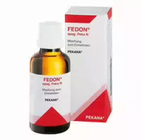 Fedon Spag Peka N Tropfen 100 Ml Tropfen