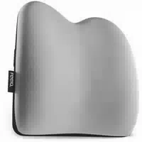 Feela Ergonomisches Rückenkissen für Auto & Bürostuhl