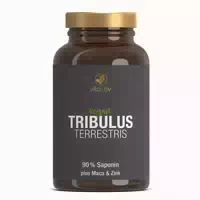Vitactiv Tribulus Terrestris 240 St