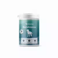 Felmo Blasen & Nieren Snacks für Hunde