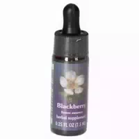 Fes Quintessentials Blackberry Tropfen