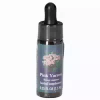 Fes Quintessentials Pink Yarrow Tropfen