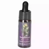 Fes Quintessentials Sagebrush Tropfen