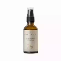 Silberspray Aloe Vera 50 Ml