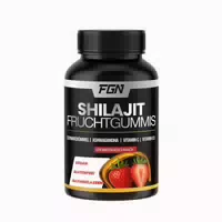 Fgn Shilajit Fruchtgummis 60 st