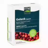 Grünlippmuschel Gelenk Kapseln 60 st