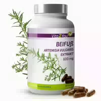 Vita2you Bio Flohsamenschalen Kapseln 750mg Hochdosiert 360 st