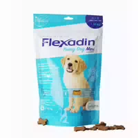 Flexadin Young Dog Mini Chews Erg Futterm F Hunde 1x60 st