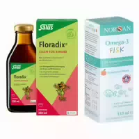 Floradix Eisen Tonikum Norsan Omega 3 Fisk Für Kinder